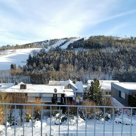 Bergchalet Heidestock Willingen  Exterior photo