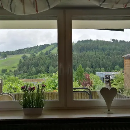 Bergchalet Heidestock Willingen  Exterior photo