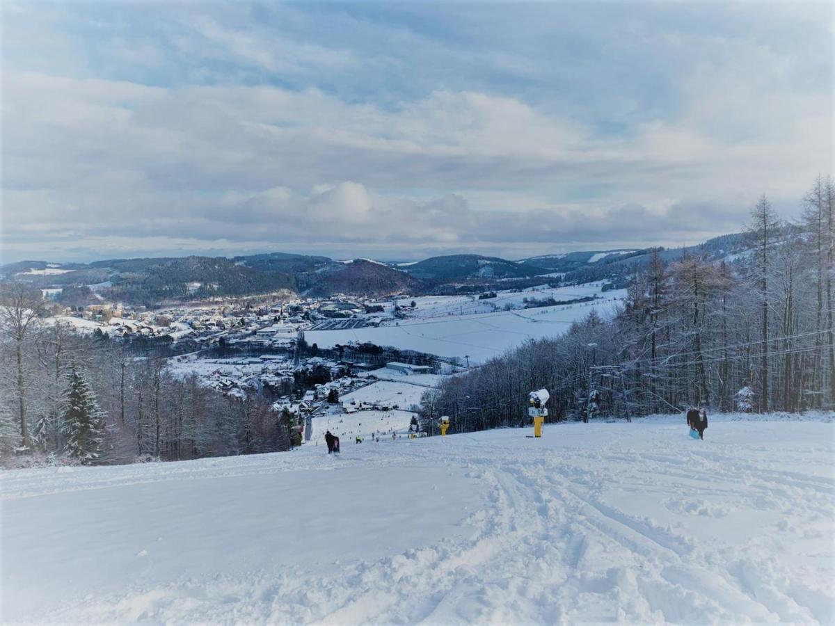Bergchalet Heidestock * Willingen (Upland)