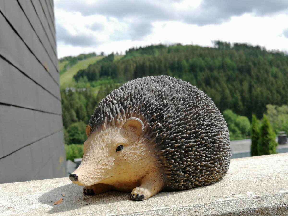 Bergchalet Heidestock Apartment Willingen (Upland)