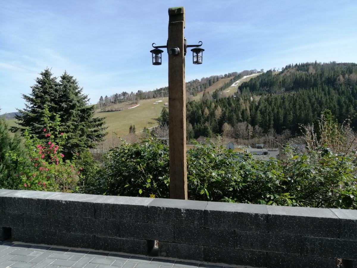 Bergchalet Heidestock * Willingen (Upland)