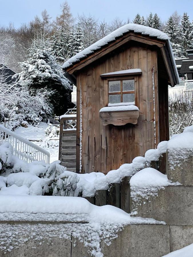Bergchalet Heidestock * Willingen (Upland)